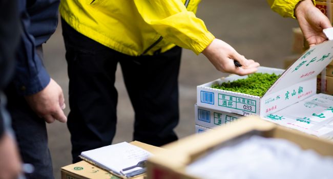 野菜の卸売市場